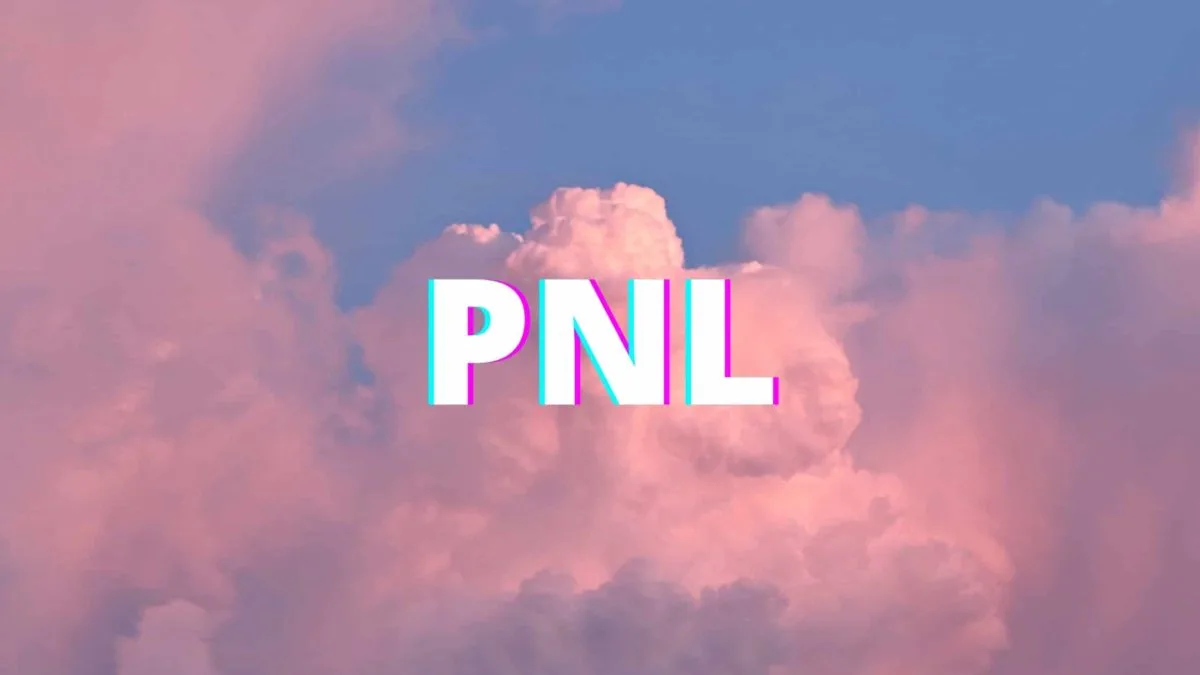 Pnl duo de rap fran&ccedil;ais