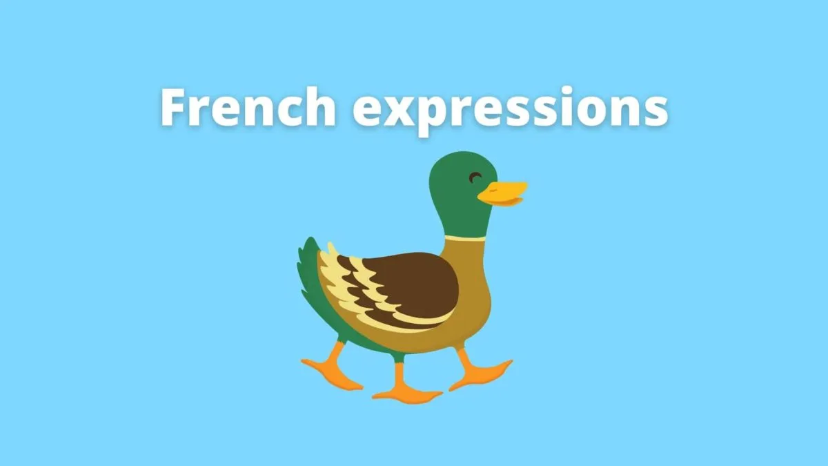 Expressions idiomatiques françaises