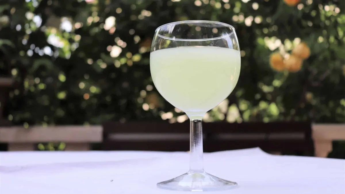 Pastis: A Popular Drink of Southern France