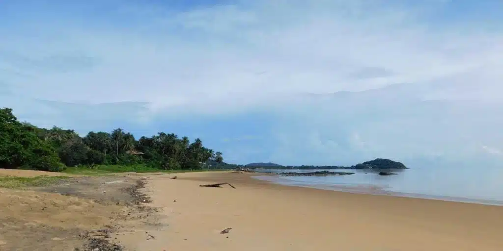 Guyane française - plage de Gosseline