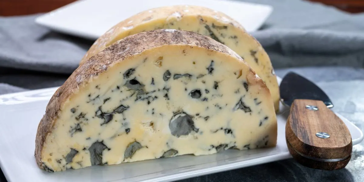 La Fourme d’Ambert