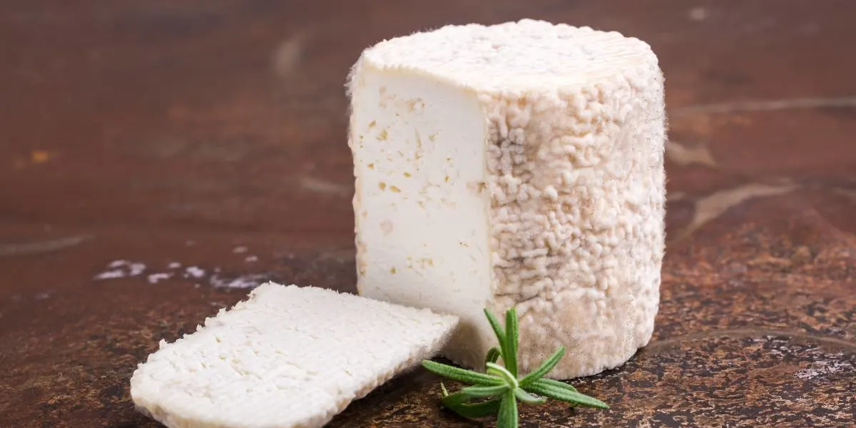 Le Charolais