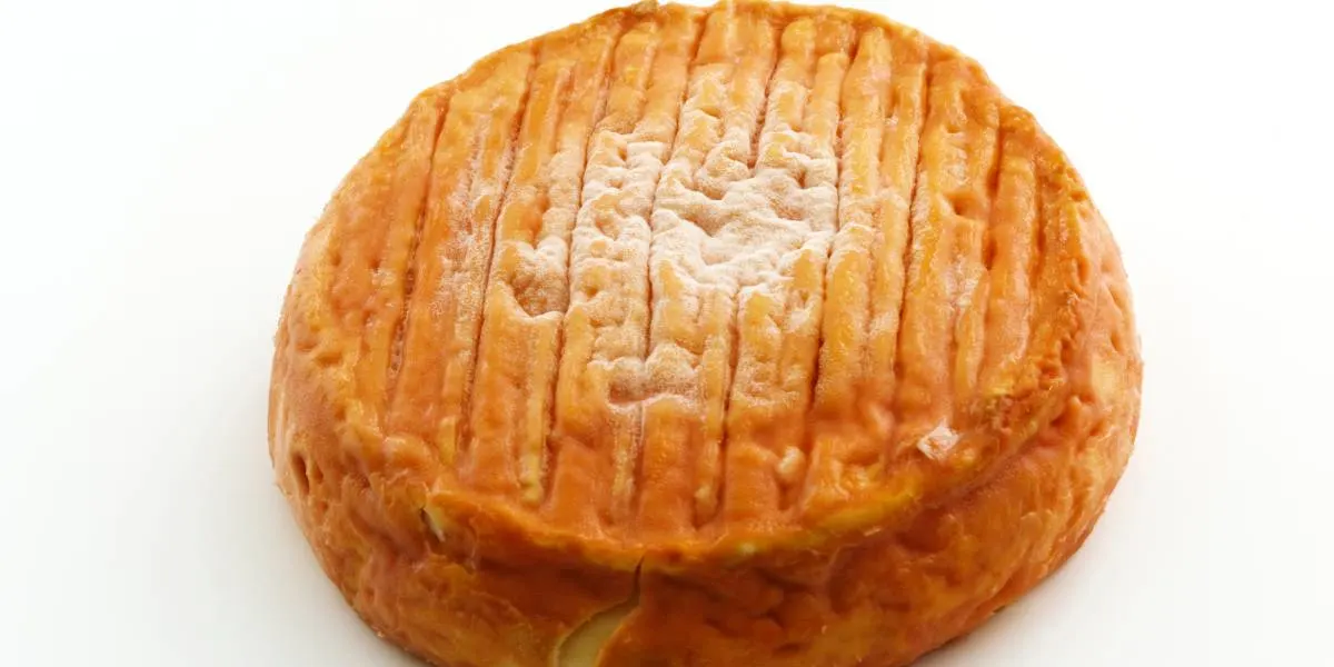 L'Époisses