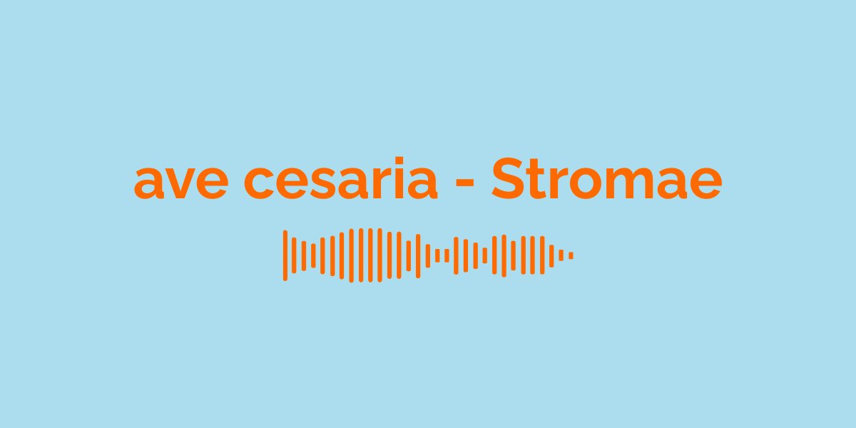 &laquo; ave cesaria &raquo; par Stromae : Signification de la Chanson