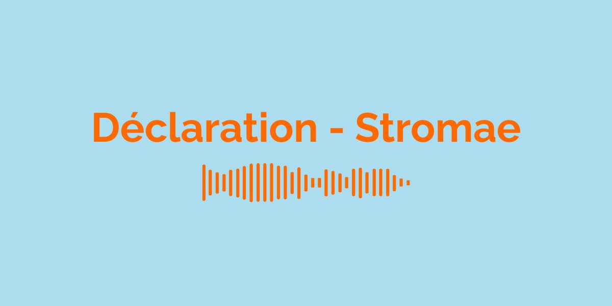&laquo; D&eacute;claration &raquo; par Stromae : Signification de la Chanson